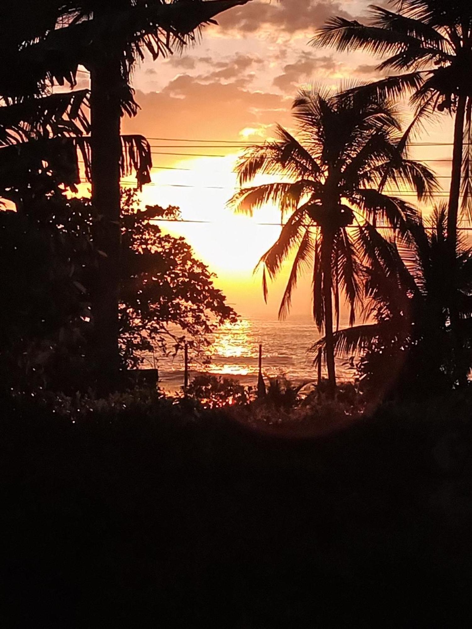Brilho Do Sol